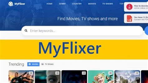 my flixer pw|Watch Top IMDB movies and tv shows free .